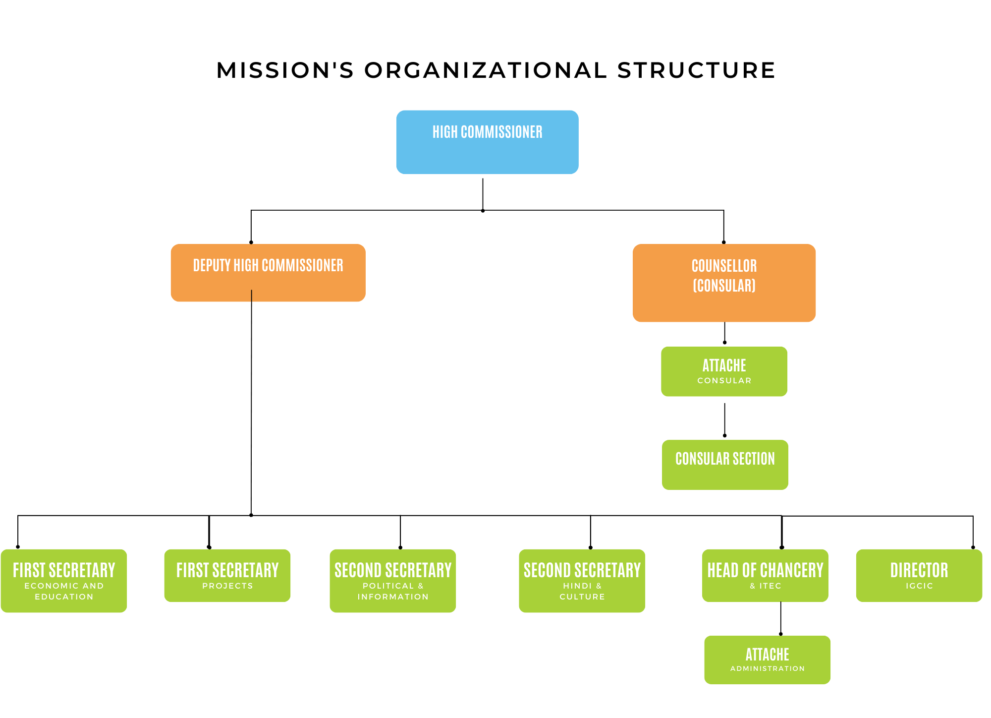 Organizational Structure